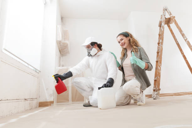 Best Mold-Related Health Consultation  in Sweetwater, TX
