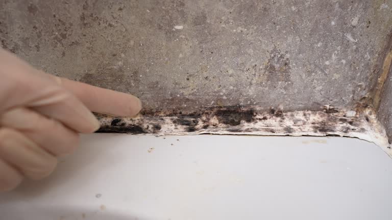 Best Residential Mold Inspection & Testing  in Sweetwater, TX